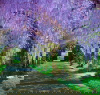 Alowyn Gardens and Nursery - Accommodation VIC