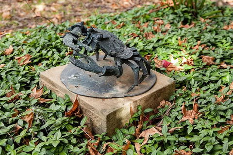 Antony Symons - Retrospective Of A Life's Work - Accommodation VIC 0