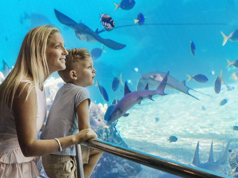 Australia's Sea World - Accommodation VIC 2