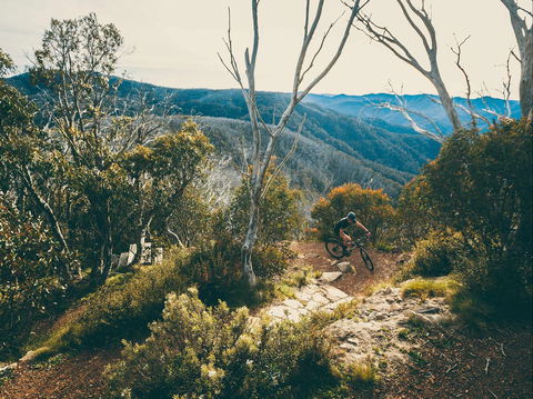 Australian Alpine Epic Mountain Bike Trail - Accommodation VIC 1