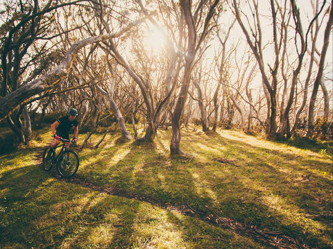 Australian Alpine Epic Mountain Bike Trail - Accommodation VIC 2