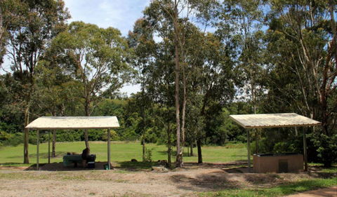Back Creek Picnic Area - Accommodation VIC 0