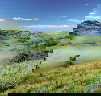 Bega - Accommodation VIC