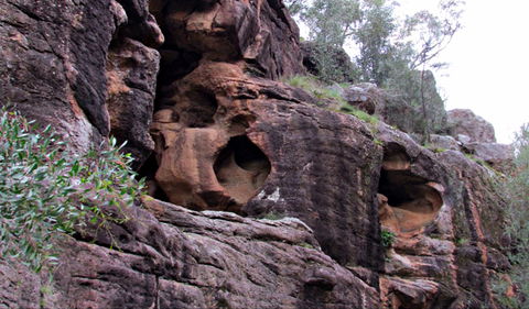 Bertha's Gully Walking Track - Accommodation VIC 0