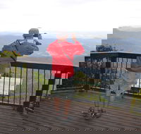 Best of All lookout track Springbrook National Park - Accommodation VIC