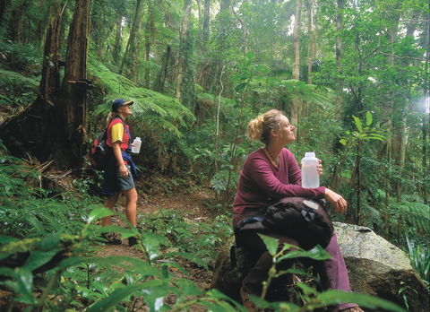 Binna Burra, Lamington National Park - Accommodation VIC 0