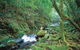 Binna Burra, Lamington National Park - thumb 2