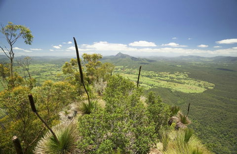 Border Ranges National Park - Accommodation VIC 0