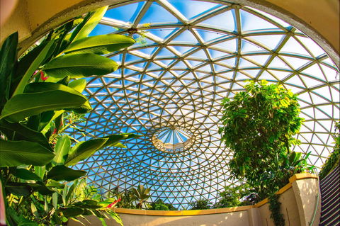 Brisbane Botanic Gardens Mount Coot-tha - Accommodation VIC 0