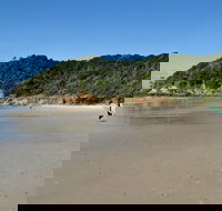 Broken Head Nature Reserve - Accommodation VIC