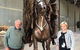 Bronze Bill The Bastard: Australia's Greatest War Horse - thumb 0