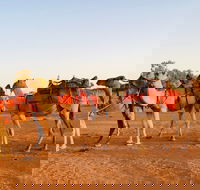 Broken Hill Camels - Accommodation VIC