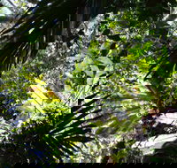 Byrrill Creek Walking Track - Accommodation VIC