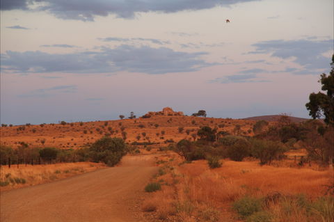 Castle Rock Walk And Lookout - Accommodation VIC 0