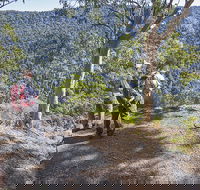 Caves circuit Lamington National Park - Accommodation VIC