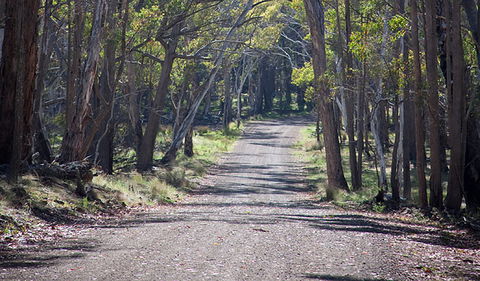 Coolah Tops National Park - Accommodation VIC 0