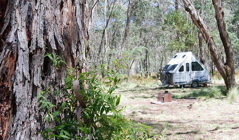 Coolah Tops National Park - Accommodation VIC 2
