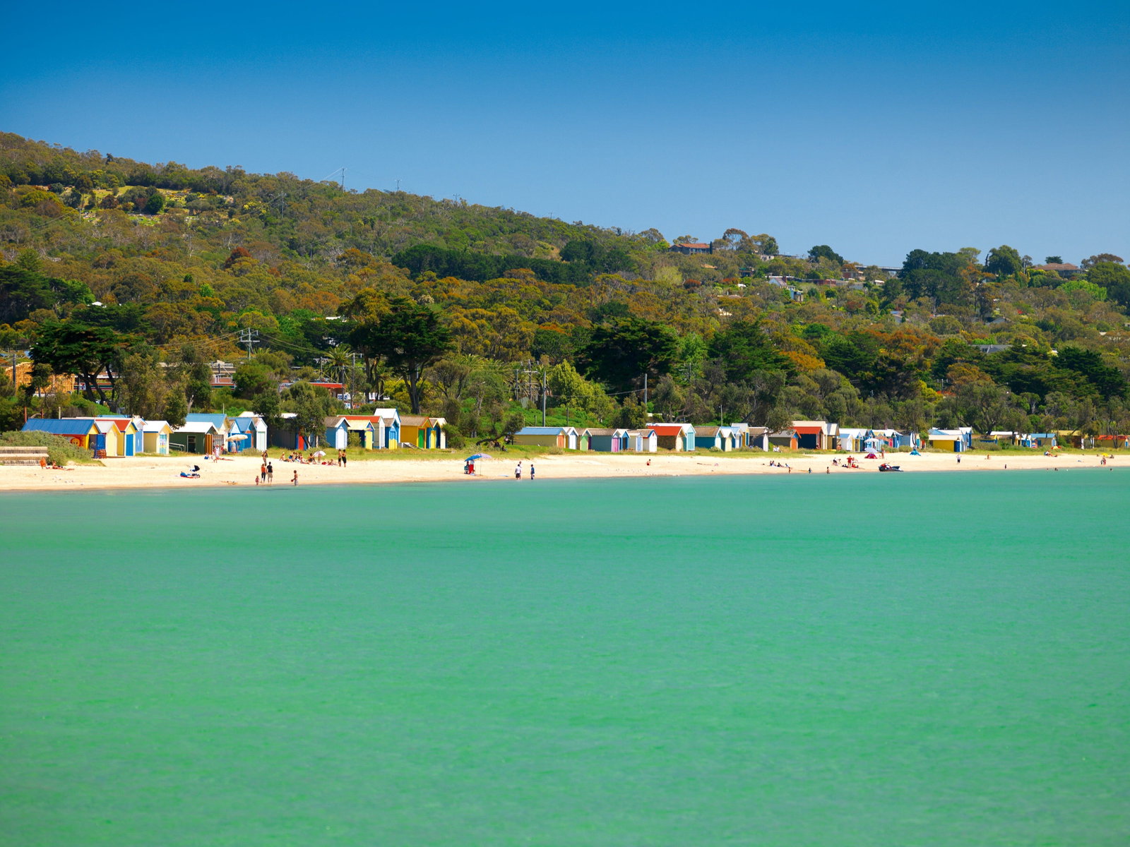 Safety Beach VIC Accommodation VIC