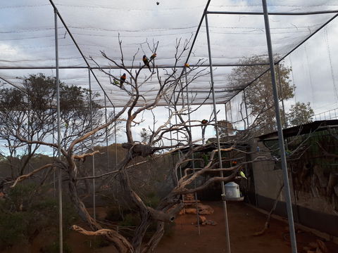 Eyre Reptile & Wildlife Park - Accommodation VIC 2