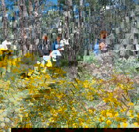 Gidgegannup - Accommodation VIC