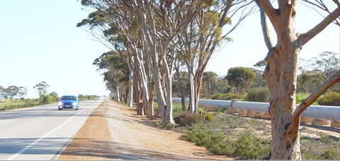 Golden Pipeline Heritage Trail - Accommodation VIC 0