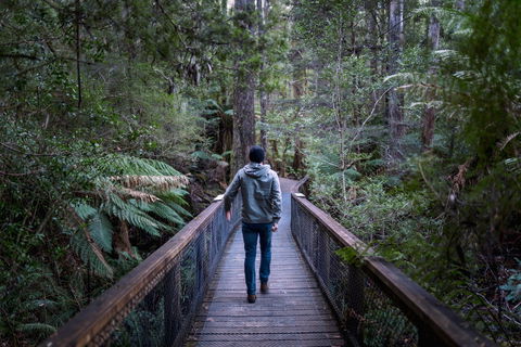 Hastings Caves And Thermal Springs - Accommodation VIC 1