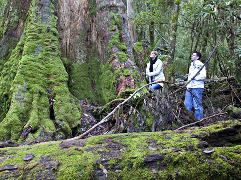 Hastings Caves And Thermal Springs - Accommodation VIC 2