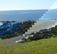 Historical Reeves Point Walk - Accommodation VIC