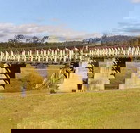 Historic Tabulam DeBurgh Timber Bridge - Accommodation VIC