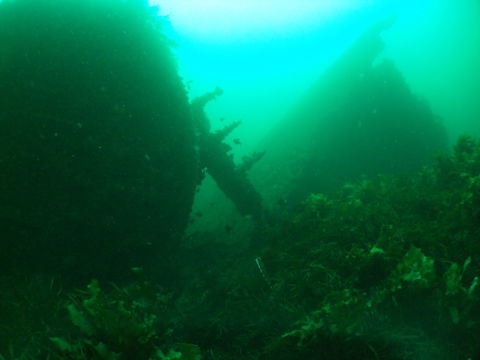 Investigator Strait Shipwreck Trail - Accommodation VIC 0