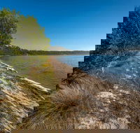 Jewfish Walk - Accommodation VIC