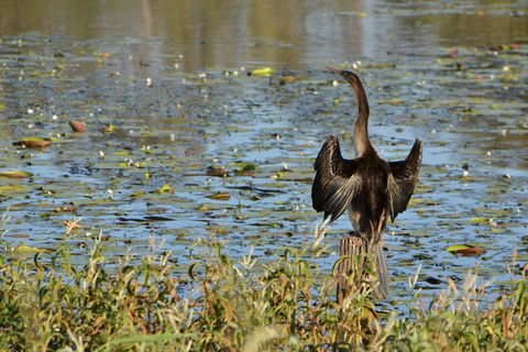 Lake Apex Park - Accommodation VIC 0