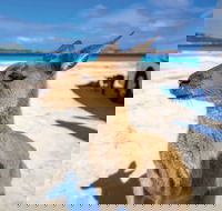 Lucky Bay - Accommodation VIC