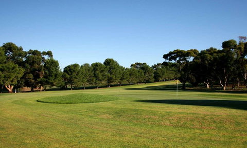 Mannum Golf Club - Accommodation VIC 0