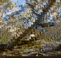 Mount Barrington picnic area - Accommodation VIC