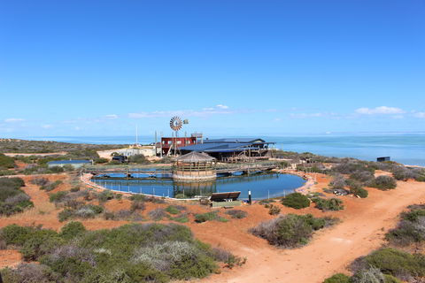 Ocean Park Aquarium - Accommodation VIC 1