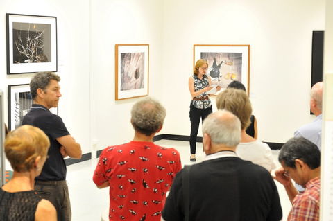 Pine Rivers Art Gallery - Accommodation VIC 1