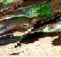 Platypus House - Accommodation VIC