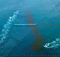 Port Noarlunga Reef Sanctuary Zone - Encounter Marine Park - Accommodation VIC