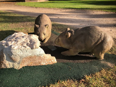 Queen Square, Moonta - Accommodation VIC 1