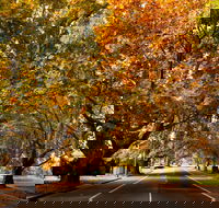 Richmond - Accommodation VIC