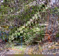 Sawpit Walking Track - Accommodation VIC