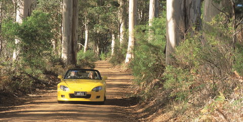 Scotsdale Tourist Drive - Accommodation VIC 0