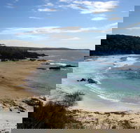 Snorkelling Mystery Bay - Accommodation VIC
