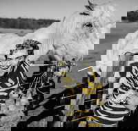 Spring Markets - Accommodation VIC