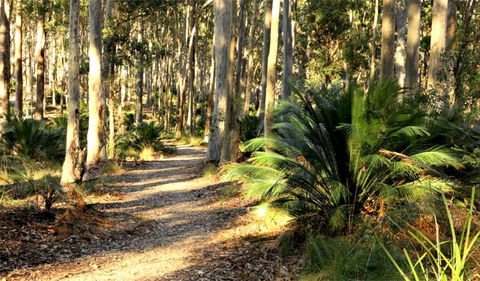 Square Head Track 2 - Accommodation VIC 0