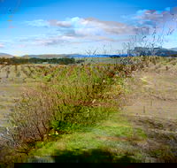 Tarago Truffles - Accommodation VIC