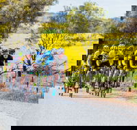 The Heron's Highway - Avon River Cycle Trail - Accommodation VIC