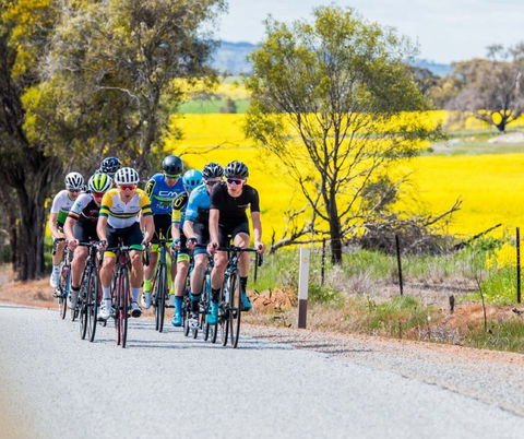 The Heron's Highway - Avon River Cycle Trail - Accommodation VIC 0