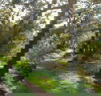 Turon National Park - Accommodation VIC